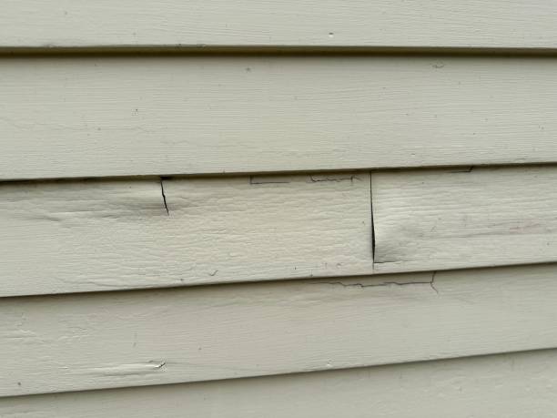 Best Fiber Cement Siding Installation  in Tidmore Bend, AL
